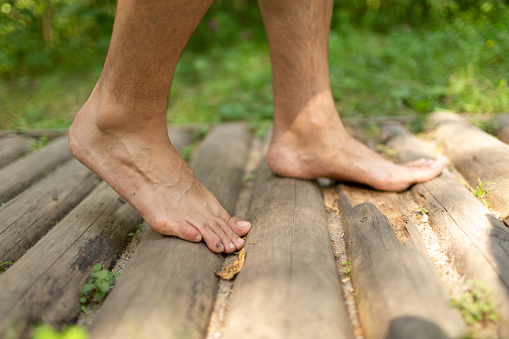 A man walks barefoot in the park along a specially equipped path. A path made of wooden logs