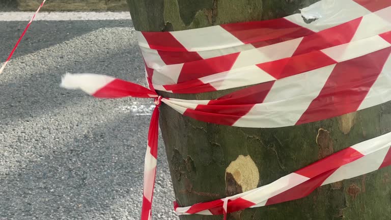 Broken barricade tape on tree trunk