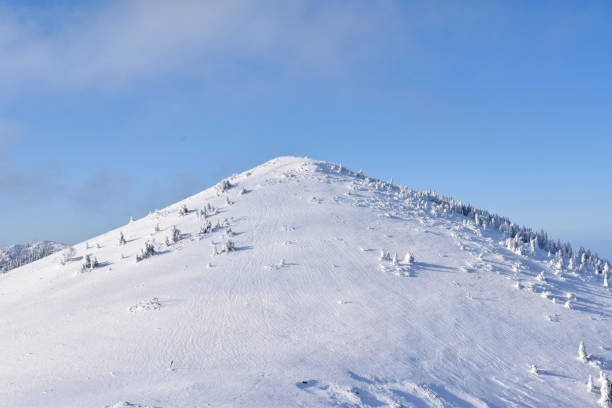 Zavizanska kosa is 1622 meters high peak at Zavizan region near Mountain hut Zavizan