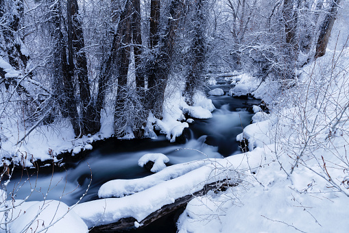 Creek in Winter with Fresh Snow - Scenic landscape with creek flowing through pristine landscape in wilderness.