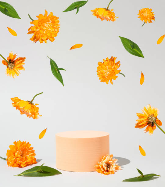 istock Geometric podium platform stand for product presentation and levitate spring flowers on grey background. Mock up scene. Business Concept. 1476802112