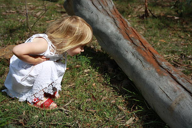 istock Little Girl Watching Ants 147680440