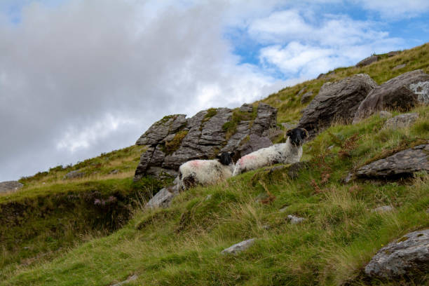 istock Winding road over Priests Leap, West Cork landscape 1476806480
