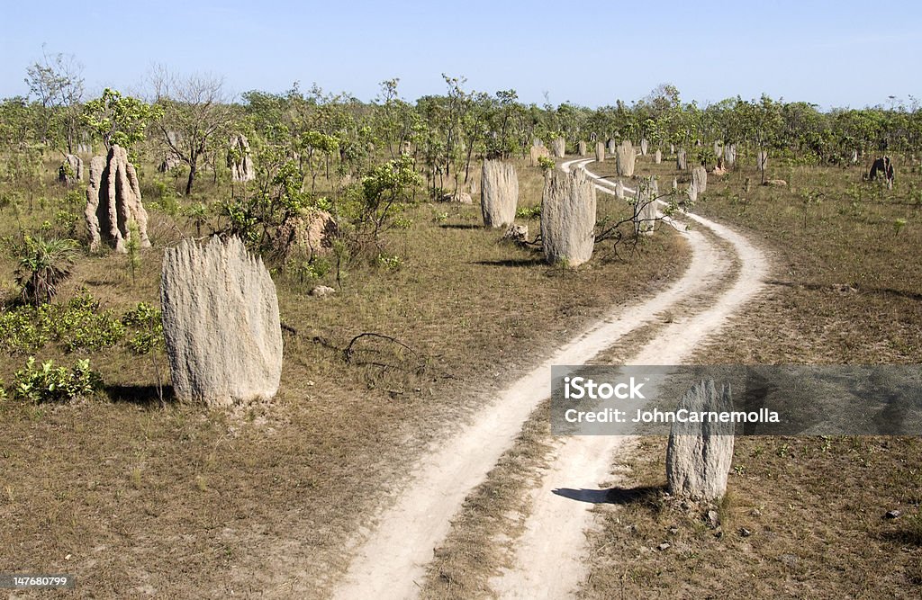 Giant termita mounds - Foto de stock de Hormiga libre de derechos