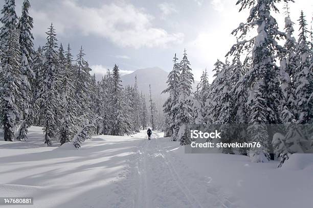 Berg Mount Bachelor Xc Skifahren Stockfoto und mehr Bilder von Langlaufen - Langlaufen, Abenteuer, Baum