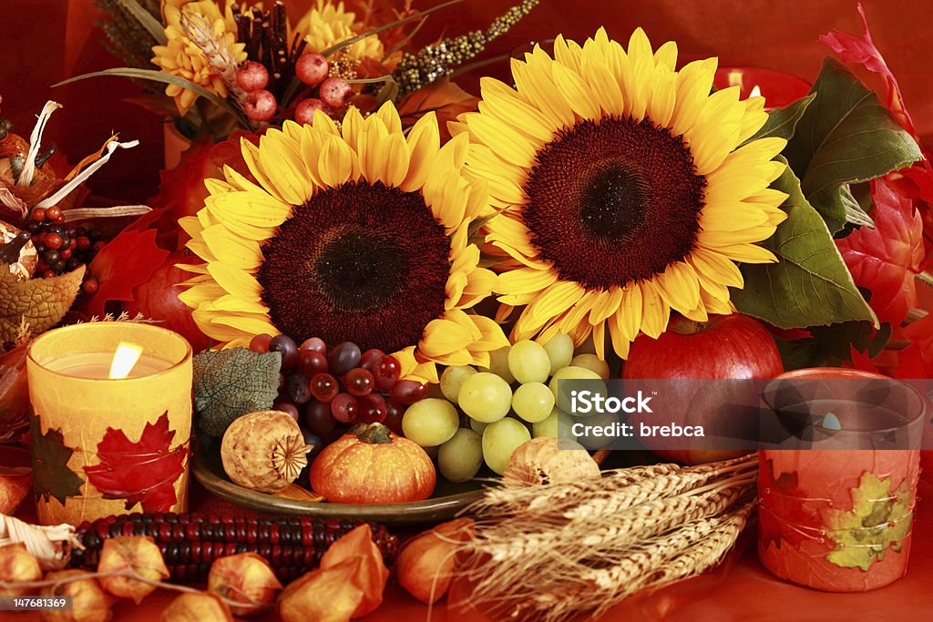 Happy Thanksgiving Still life or table decoration for Thanksgiving Autumn Stock Photo