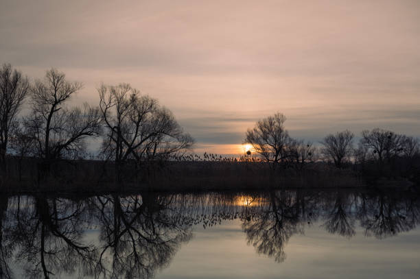 istock landscape trees without leaves by the river at sunset 1476814802