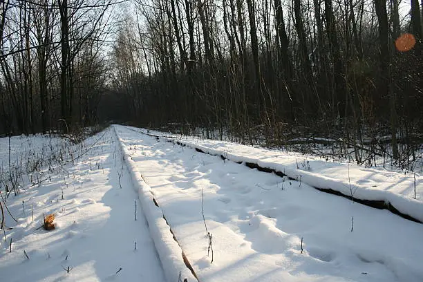 Unused narrow-gauge rails covered by snow during sunny winter day.