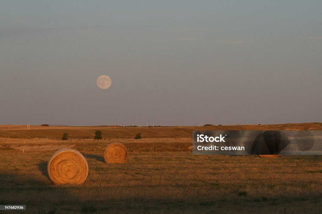 Fall Scene of bales and full moon A beautiful Fall evening.  The bales have long shadows from the sun going down and the Full Harvest Moon coming up in the eastern sky. Harvest Moon Stock Photo