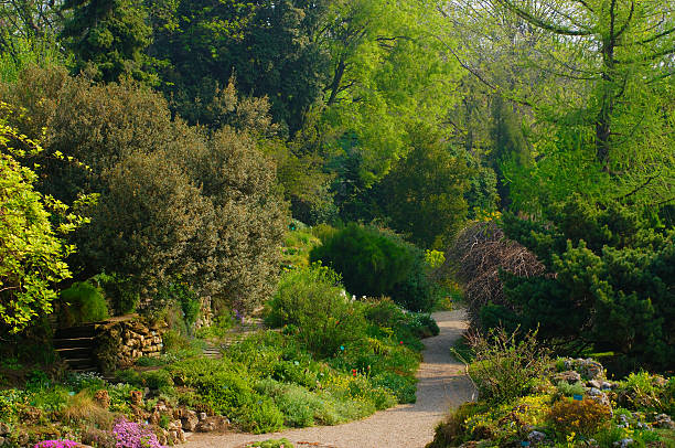Alpine garden, part of the botanical garden, Jardin des Plantes, Paris