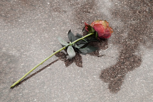 An artificial rose lying on a tombstone, on which the shadow of the cross falls.