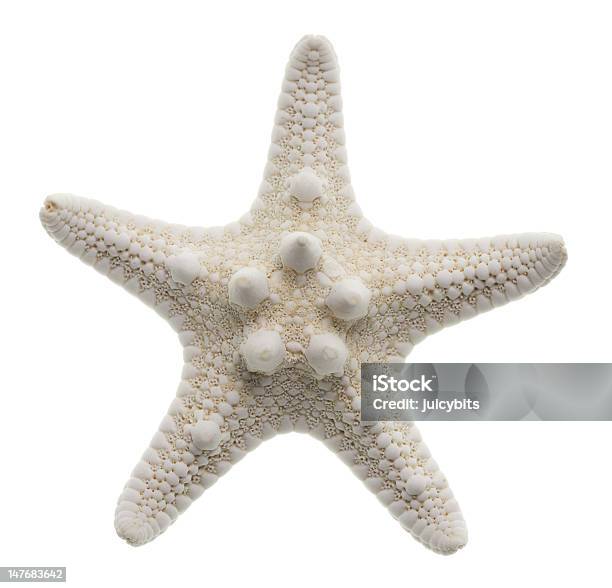 Estrela Isolado A Branco - Fotografias de stock e mais imagens de Branco - Branco, Cores, Estrela-do-mar
