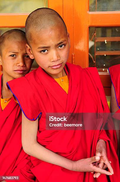 Estudiante Jonangpa Monjes En Katmandú Nepal Foto de stock y más banco de imágenes de Animal doméstico - Animal doméstico, Asia, Budismo