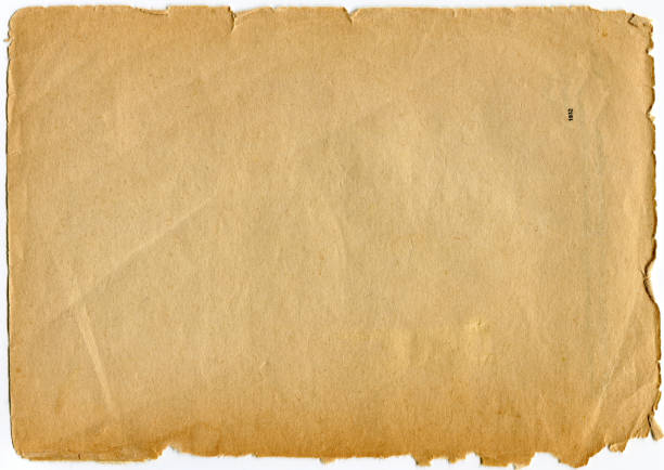 istock Extra large  grunge old (1932) paper   XXL 147683961