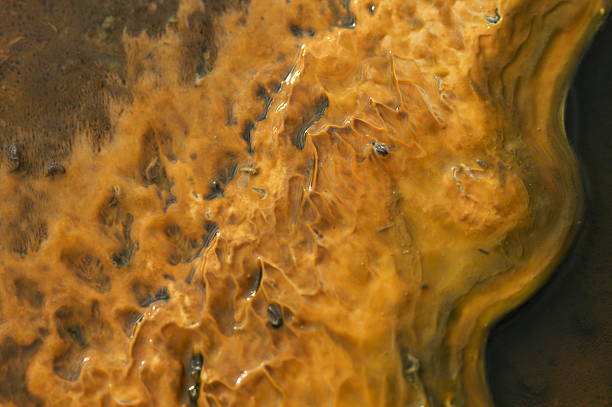 istock Colorful Thermophiles in Yellowstone 147684004
