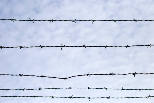 istock Barbed wires against sky. Wired fence 1476846195