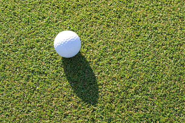 istock Golf ball on the putting green 147685524