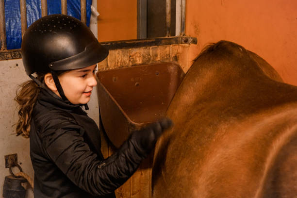 istock girl brushes a horse in the stable 1476865626