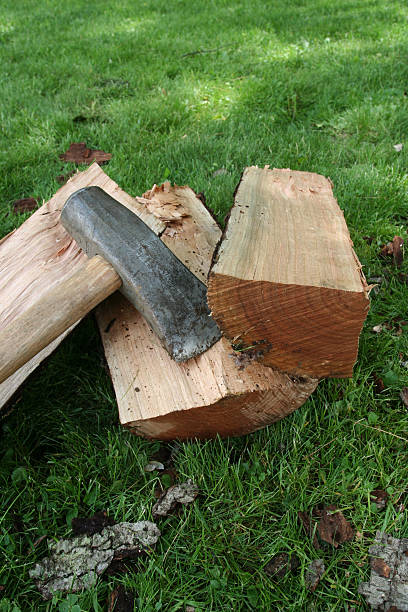 Axe Splitting Wood stock photo