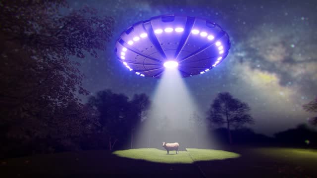 Unidentified Flying Object - UFO . UFO kidnap a cow on Earth.