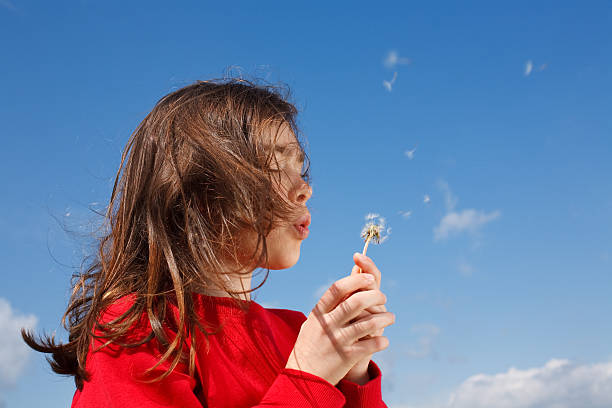 istock Girl blowing dandelion 147687707