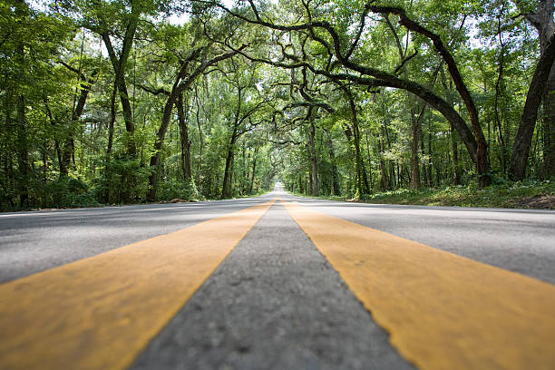 Road level yellow stripes stock photo