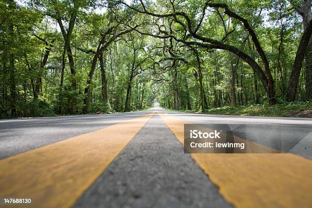 Road Level Yellow Stripes Stock Photo - Download Image Now - Florida - US State, Road, Drive - Ball Sports