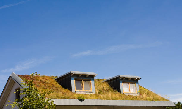 istock Garden at the rooftop 147689126