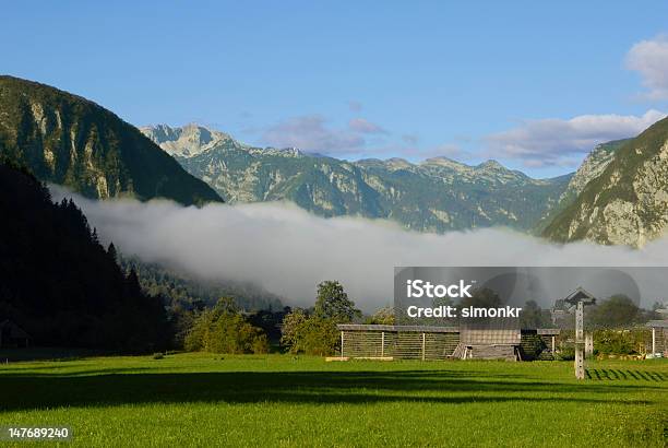 Campo Verde Al Mattino - Fotografie stock e altre immagini di Agricoltura - Agricoltura, Albero, Ambientazione esterna