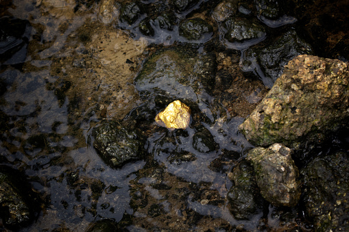 Gold nuggets natural water source.