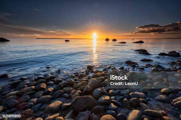 Crescent Beach At Sunset Surrey Bc Canada With Great Blue Heron Stock Photo - Download Image Now