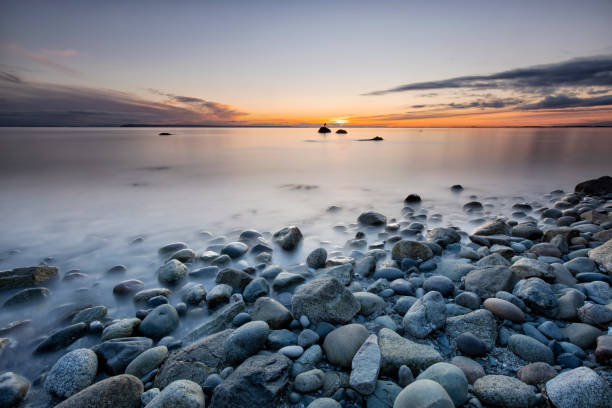 istock Crescent Beach at sunset, Surrey, BC, Canada, with Great Blue Heron 1476895801