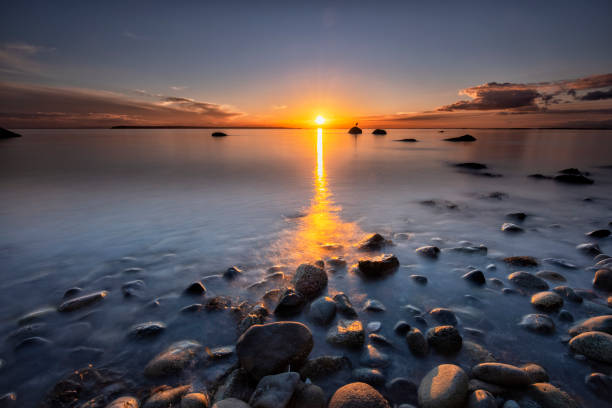istock Crescent Beach at sunset, Surrey, BC, Canada, with Great Blue Heron 1476895803