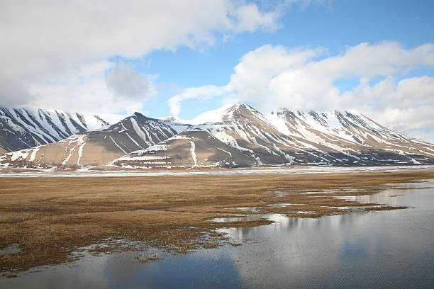 krajobraz w svalbard w okresie wiosennym - svalbard islands zdjęcia i obrazy z banku zdjęć