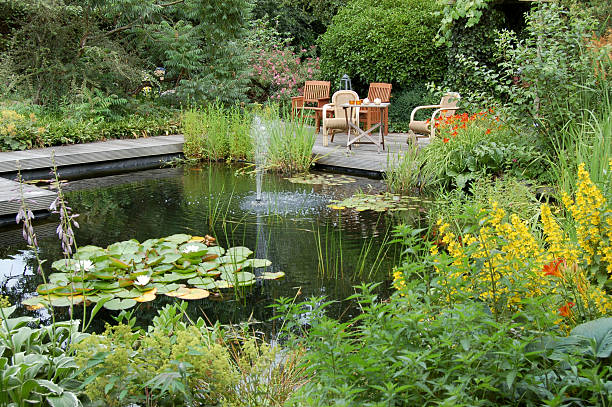 istock Garden with Pond and Seats 147689803