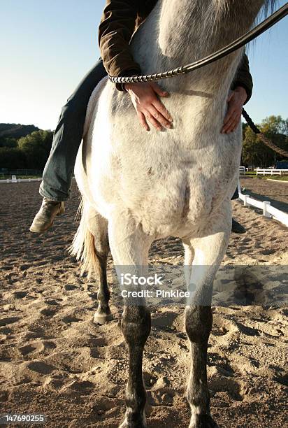 Foto de Loving e mais fotos de stock de Abraçar - Abraçar, Adulto, Amor