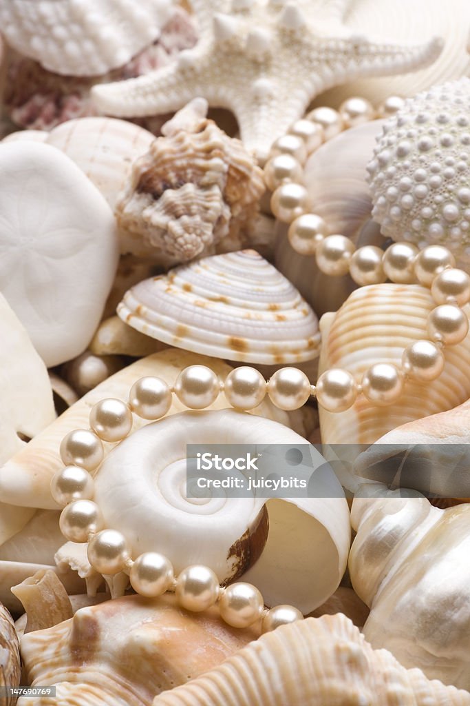 seashell Hintergrund mit Perlen - Lizenzfrei Meeresmuschel Stock-Foto