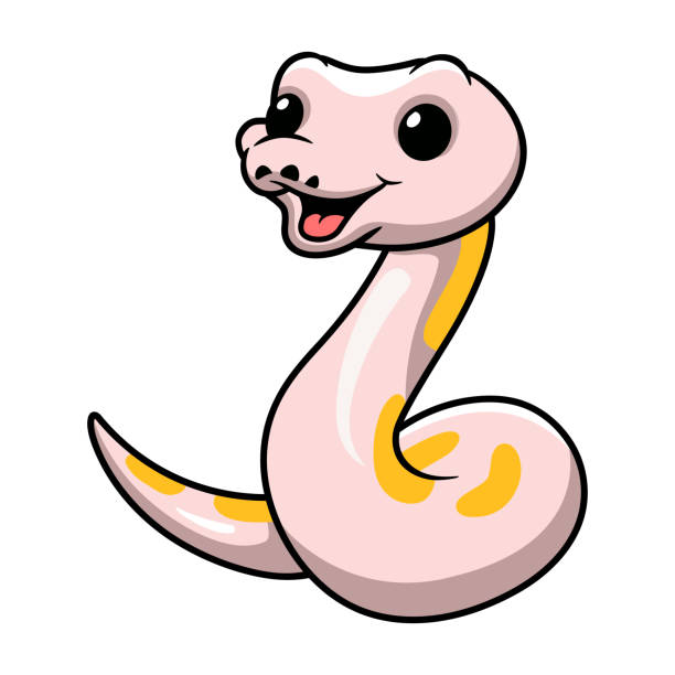 Ilustrasi Python 610+ Python Ilustrasi, Grafik Vektor, & Clip Art Bebas Royalti - iStock