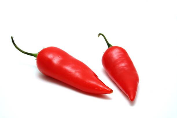 Rote Paprika – Foto