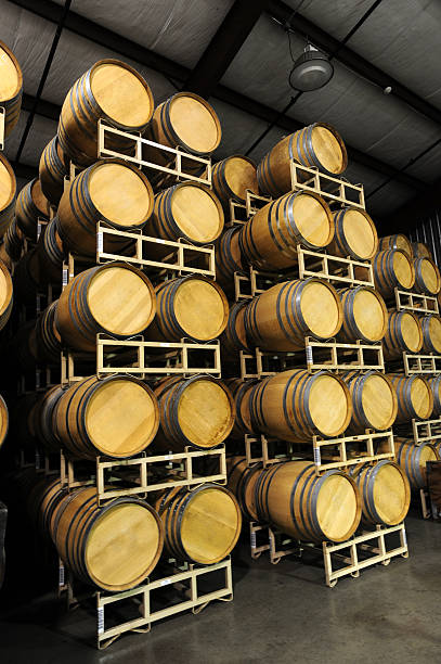 istock wine barrels stacked in a winery 147691198
