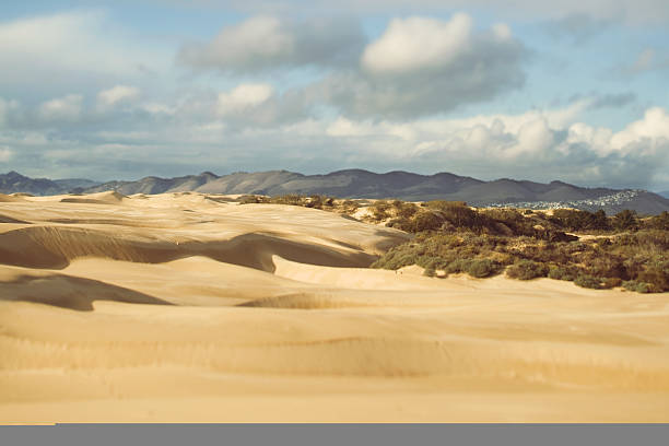 Dunes – zdjęcie