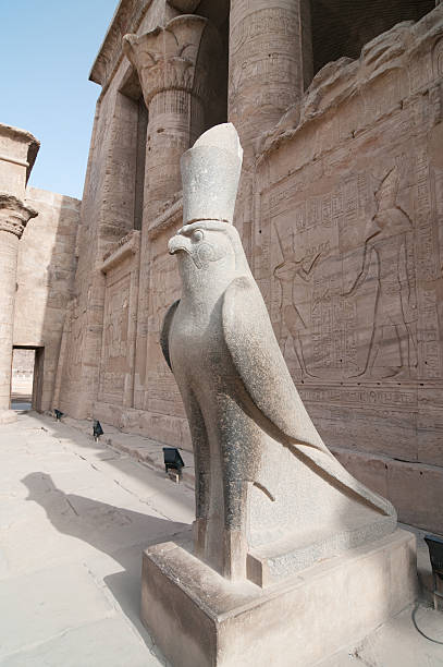 istock Sideview of the falcon gardian 147691227