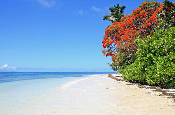 istock Deserted island paradise with sun and sand 147691349