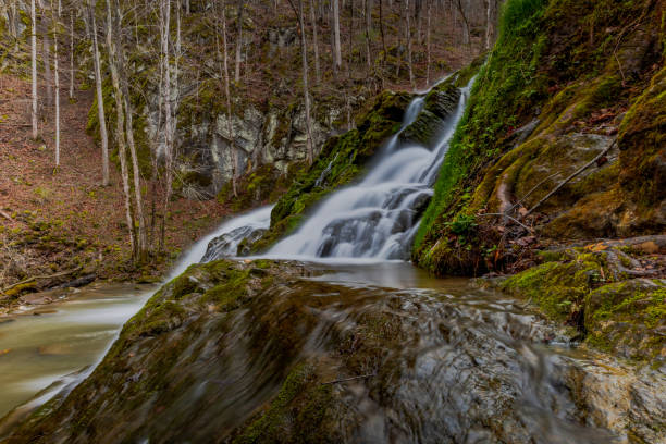Logan Creek waterfall in Virginia