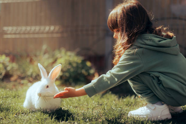 istock Little Girl Playing with her Rabbit Outside on the Grass 1476926110