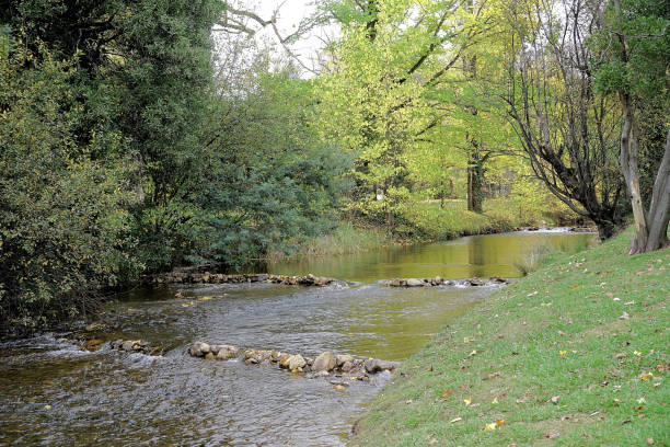 Morse Creek near its confluence with the Ovens River in the High Country