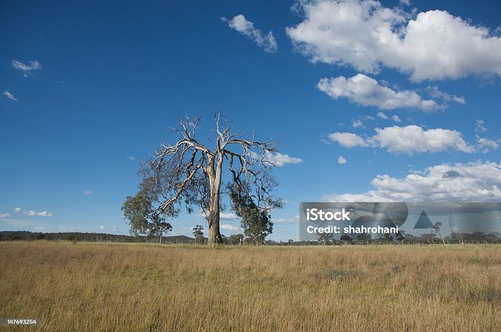 自然と風景 - オーストラリアのロイヤリティフリーストックフォト