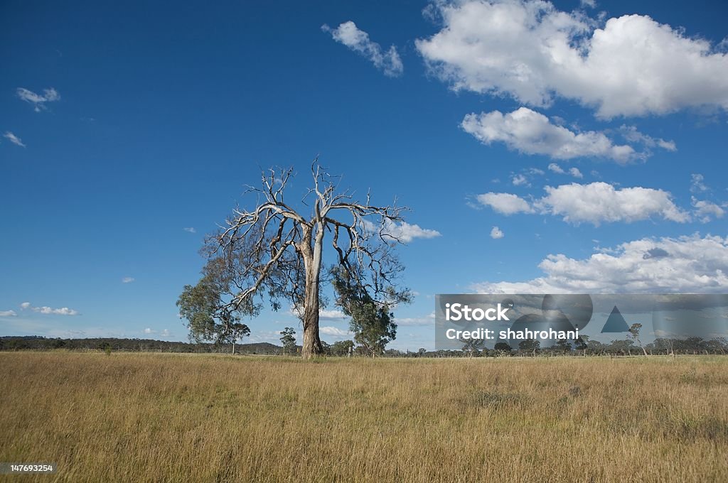 Natureza e paisagem - Foto de stock de Austrália royalty-free