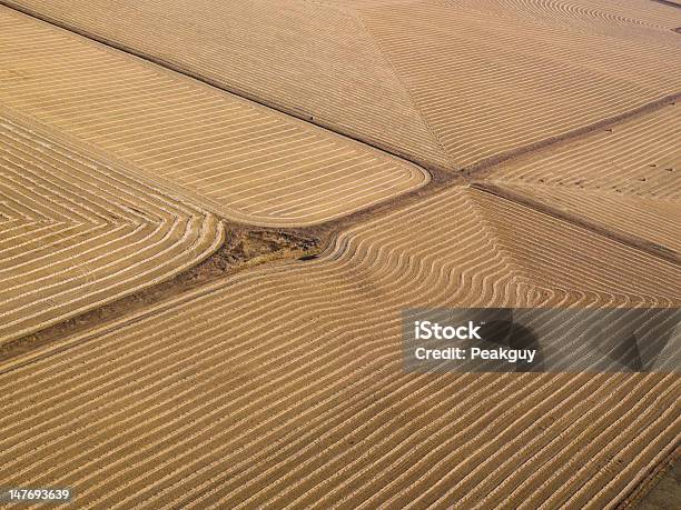 Los Agricultores Campo Vista Aérea Foto de stock y más banco de imágenes de Agricultura - Agricultura, Aire libre, Belleza