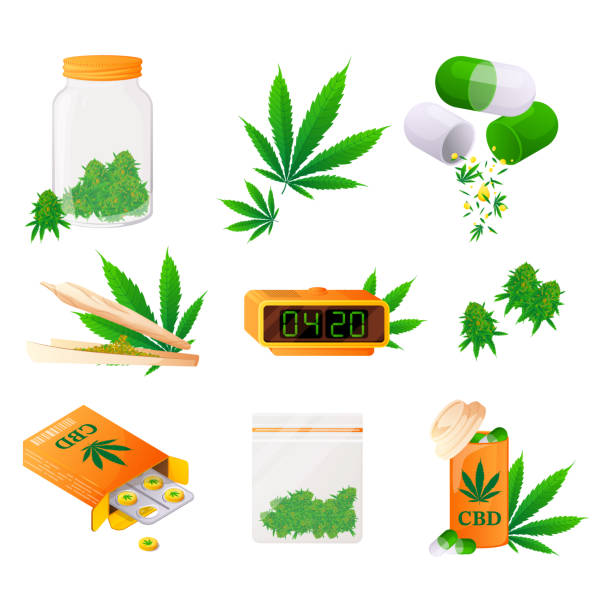 ilustrações, clipart, desenhos animados e ícones de produtos definidos com canabidiol, folha de maconha, cbd para cuidados de saúde. maconha medicinal da cannabis. coleção de produtos de cânhamo. ilustração vetorial ícone plano dos desenhos animados. - vitamin pill agriculture nature close up